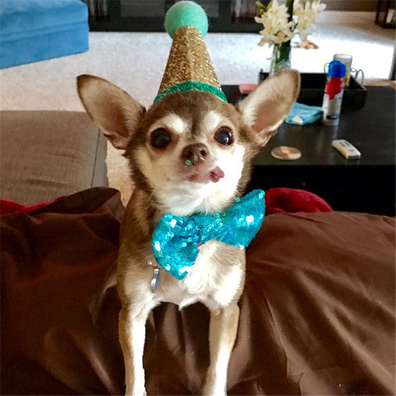 Dog sequins solid color small bow