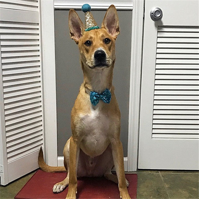 Dog sequins solid color small bow