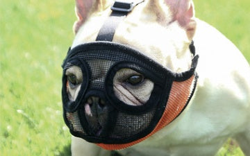 Anti-Eating And Drinking Water Method