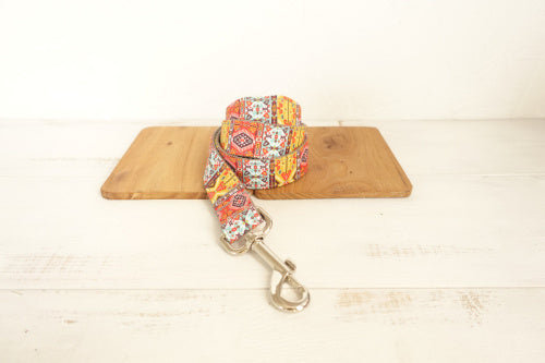 Funkadelic Matching Collar and Leash Set