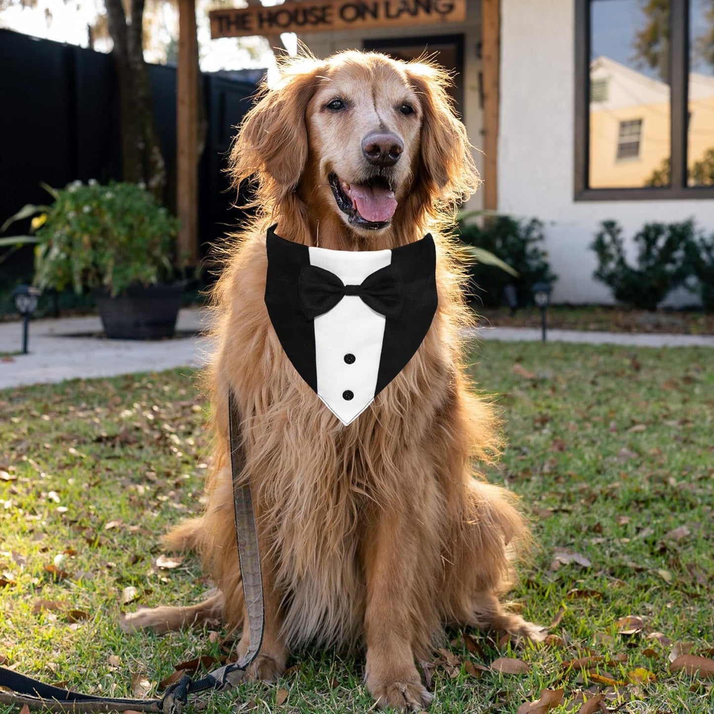 Dog Tuxedo Suit With Bow Tie And Bandana  Adjustable Formal Costumes For Small, Medium, Large Dogs Perfect For Weddings Birthdays
