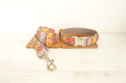 Funkadelic Matching Collar and Leash Set