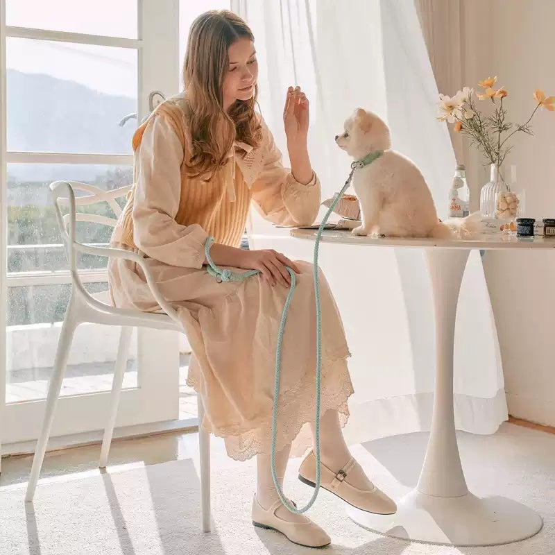 Dog Collar Leather Hand Holding Rope Dog Leash Collar Pet Small And Medium Size