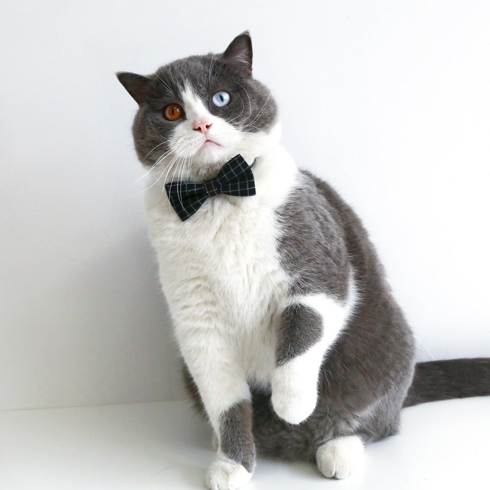 Pet Cat Dog Doctor's Degree Hair Band Bow Tie