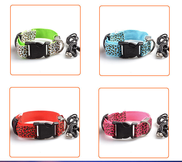 Rechargeable LED Dog Band