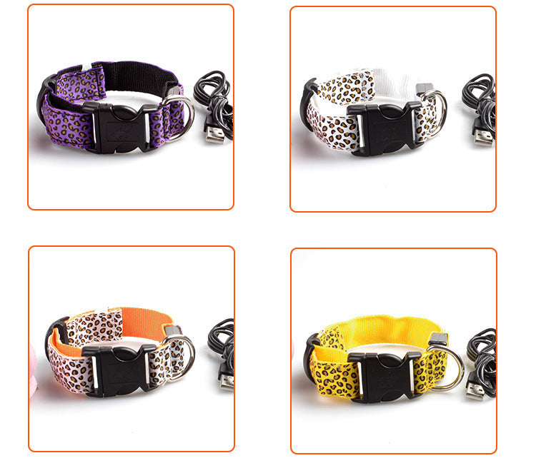 Rechargeable LED Dog Band