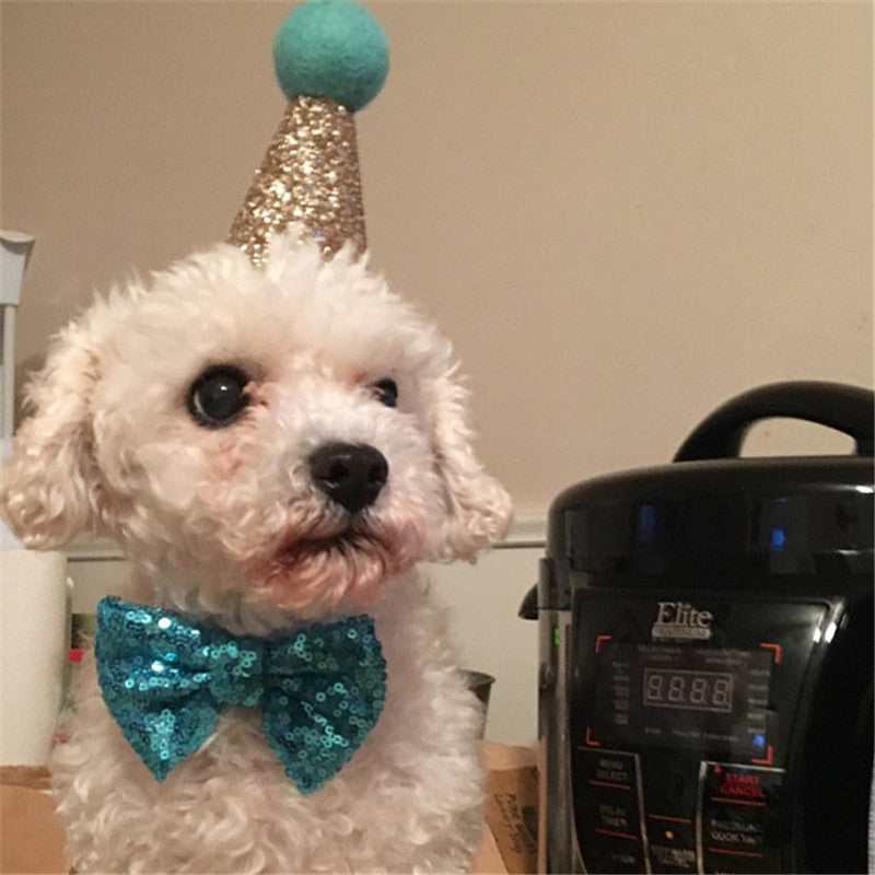 Dog sequins solid color small bow