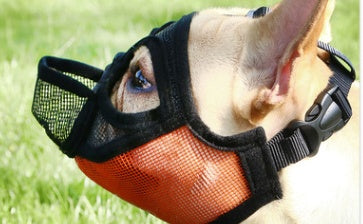 Anti-Eating And Drinking Water Method