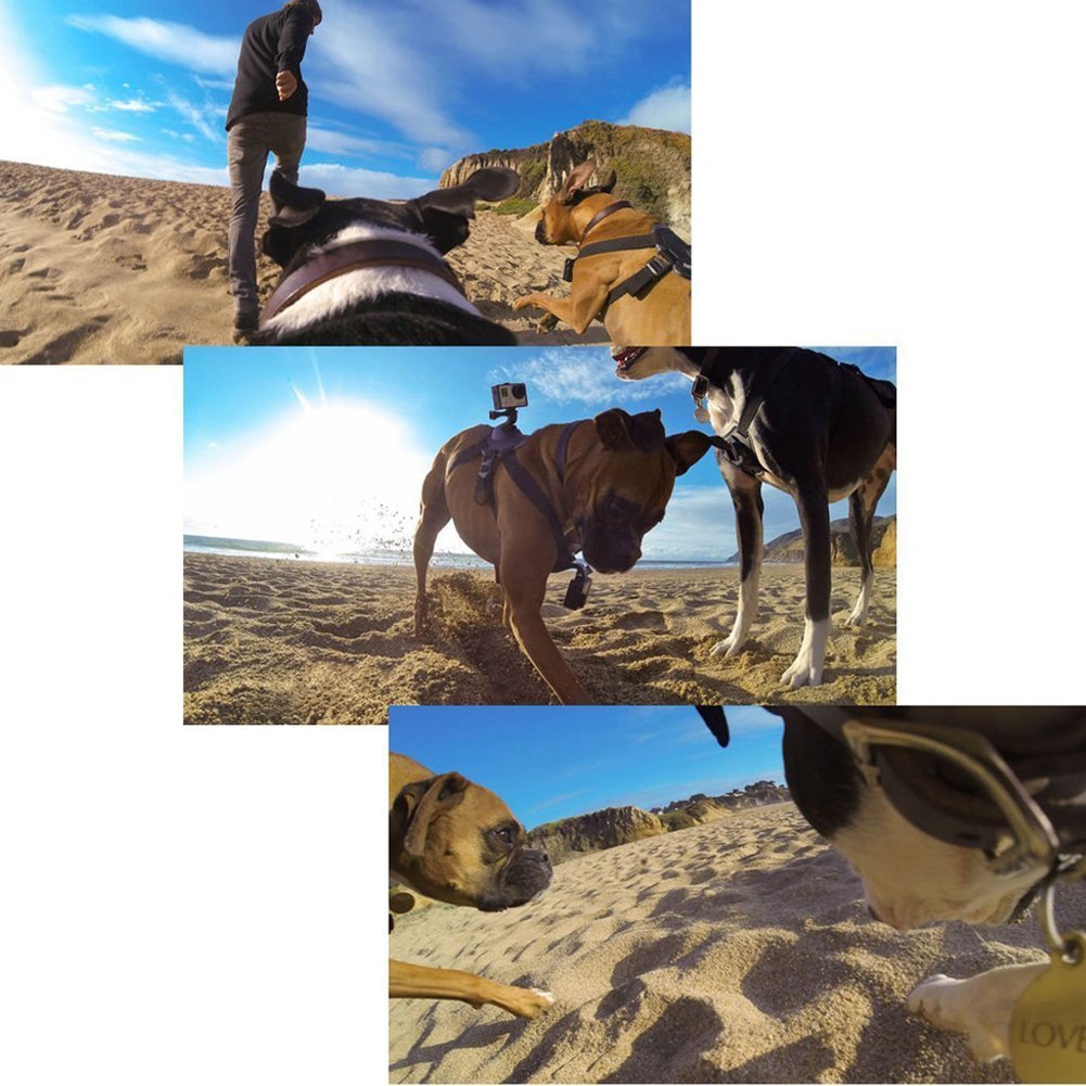 Dog Harness Chest Strap Camera Accessory For Dualuse Back On Chest
