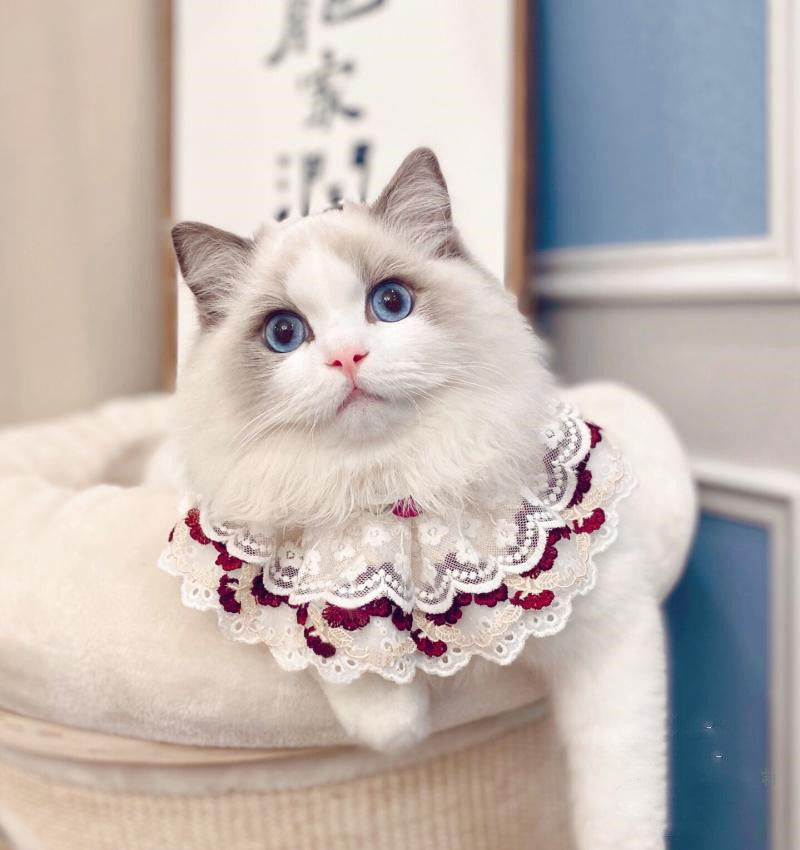 Cotton Lace Adjustable Bib Vip Bow