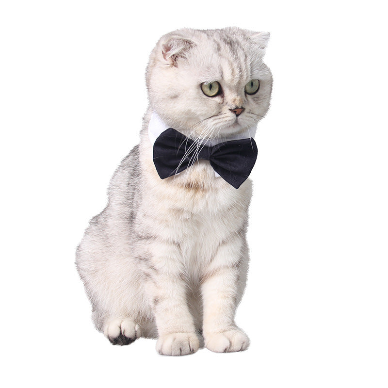 Dog Bow Tie British Handsome Black