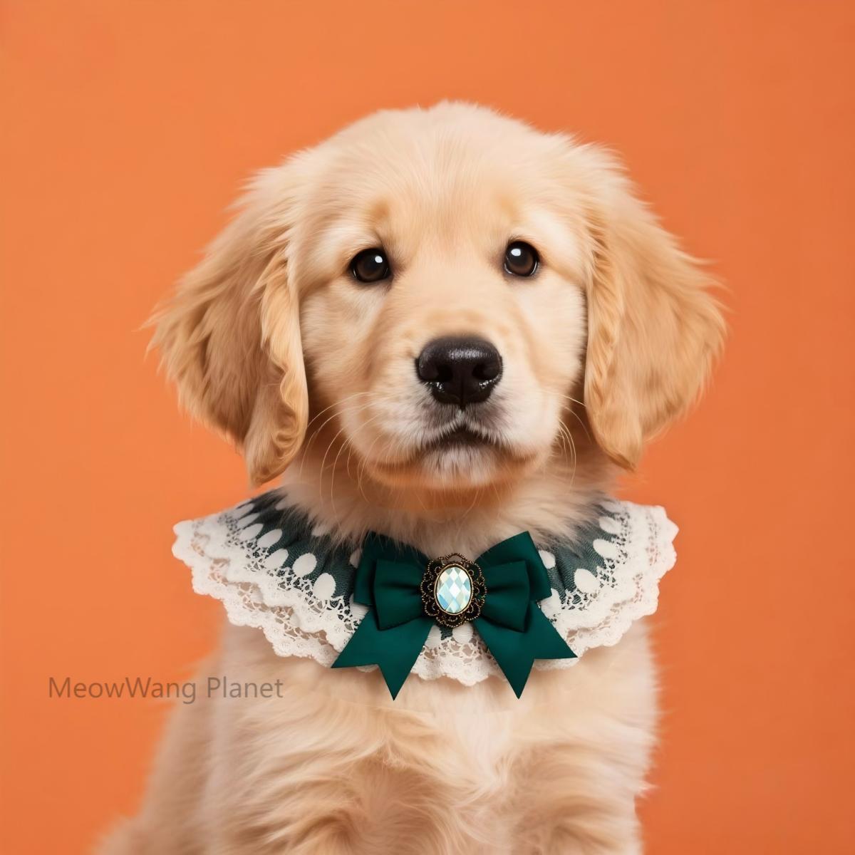 Lace Trimmed Pet Collar Bib Elegant Neck Accessory For Cats Small Dogs Luxury Pet Gift