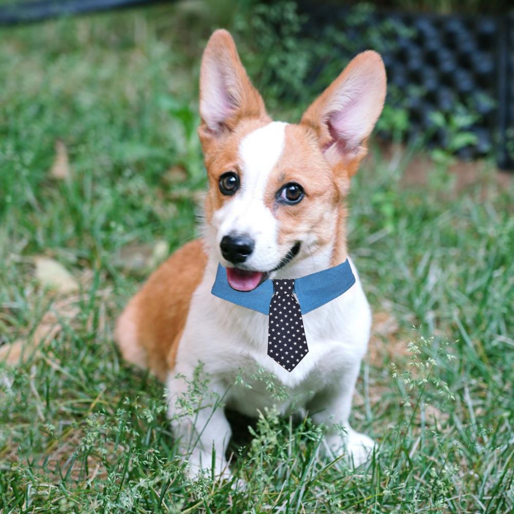 Durable Pet Collar Adjustable Denim Pet Collar With Star Pattern Dog Necktie For Holiday Weddings Formal Events For Dogs