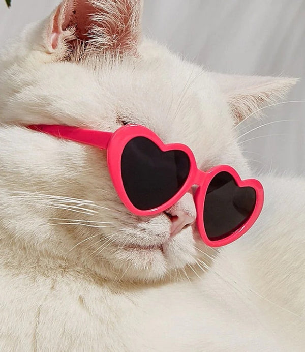 PawfectPetSupplies 