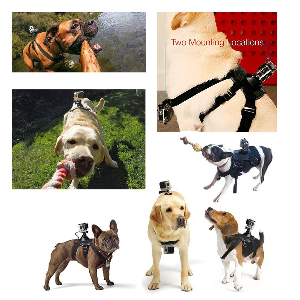 Dog Harness Chest Strap Camera Accessory For Dualuse Back On Chest
